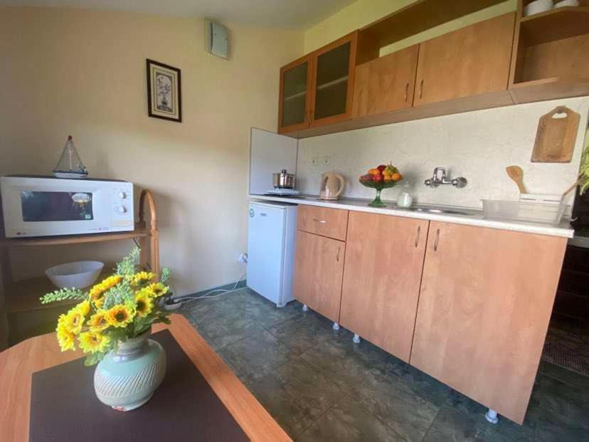 Apartments Yana Obzor Extérieur photo